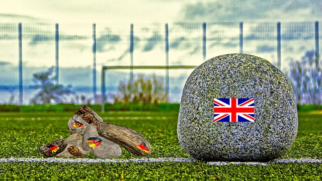 逐的主要目 逐的主要目