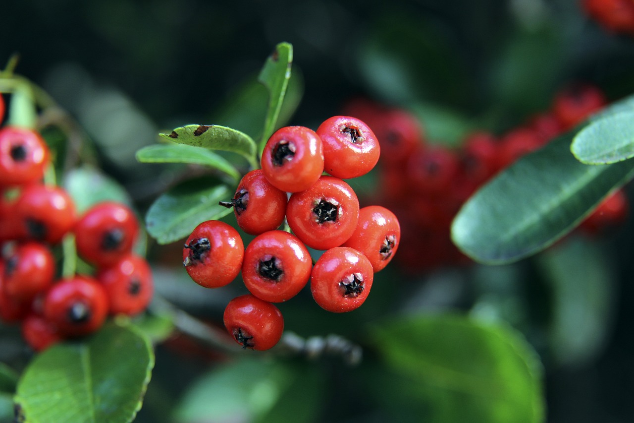 避免因个人 避免因个人