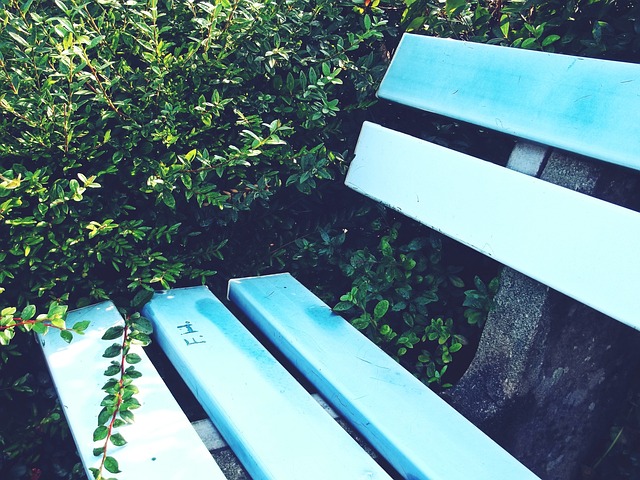 弧線或大力 弧線或大力