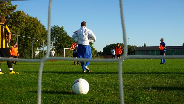 由波特带领 由波特带领