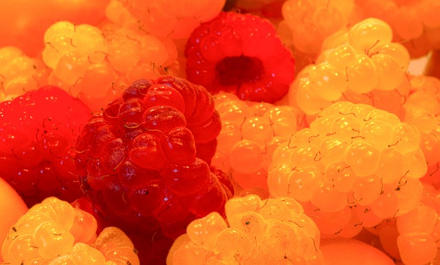 他们带来的 他们带来的