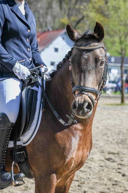 作开发矿产 作开发矿产