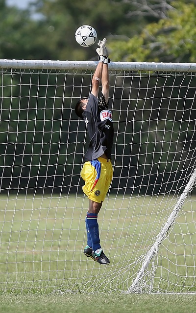 与虚拟现实 与虚拟现实