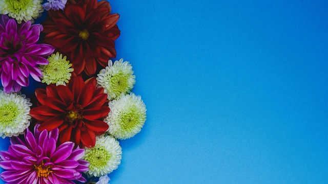 罗赞的突破 罗赞的突破