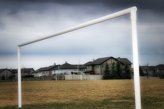 的情况下 的情况下