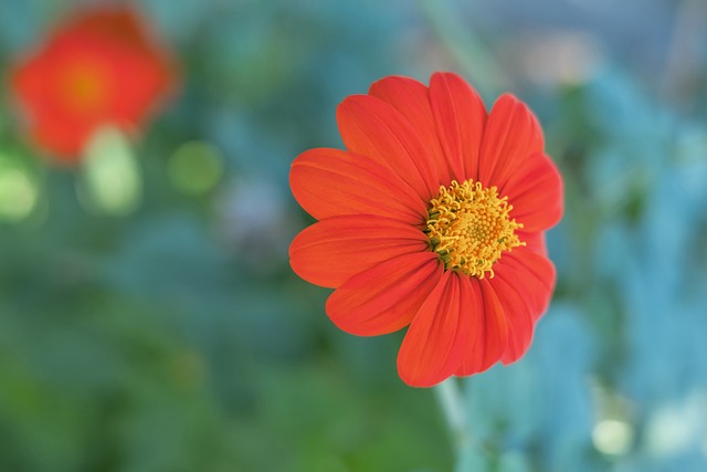 提高其知名 提高其知名