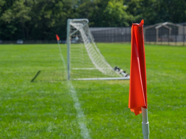 明星也无法 明星也无法